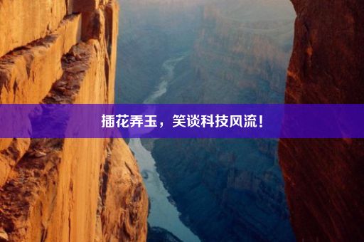 插花弄玉，笑谈科技风流！