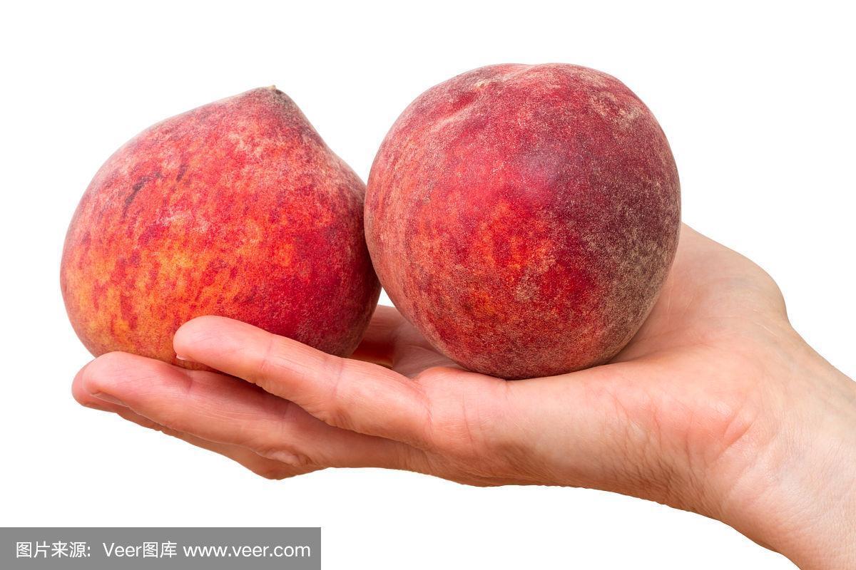 桃子2,网上新宠儿:笑话背后的科技真相