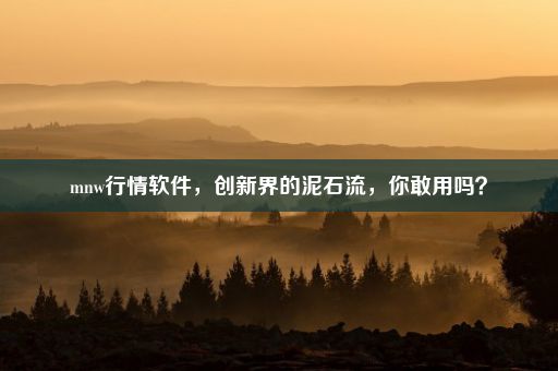 mnw行情软件,创新界的泥石流,你敢用吗?