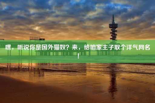 嘿,听说你是国外猫奴?来,给咱家主子取个洋气网名!